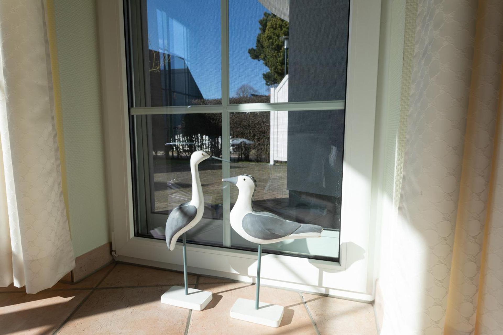 Eden 02 Apartman Zingst Kültér fotó